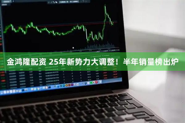金鸿隆配资 25年新势力大调整！半年销量榜出炉