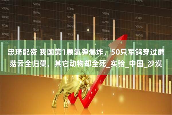 忠琦配资 我国第1颗氢弹爆炸，50只军鸽穿过蘑菇云全归巢，其它动物却全死_实验_中国_沙漠