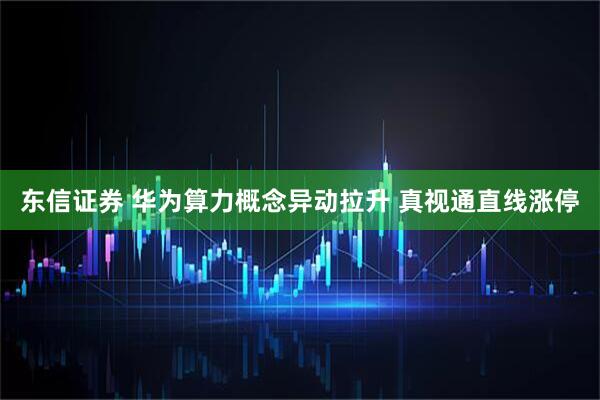东信证券 华为算力概念异动拉升 真视通直线涨停