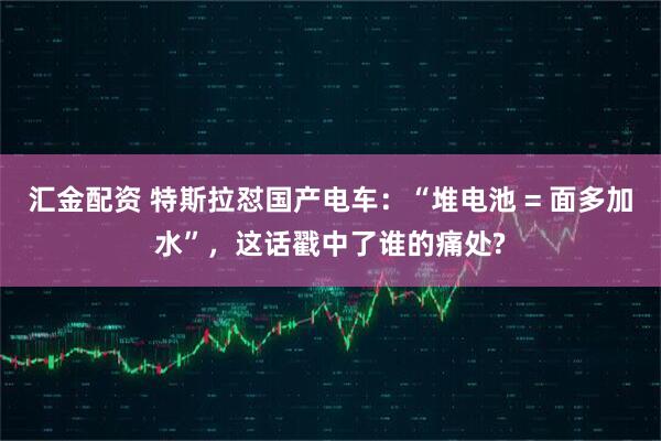 汇金配资 特斯拉怼国产电车：“堆电池 = 面多加水”，这话戳中了谁的痛处?